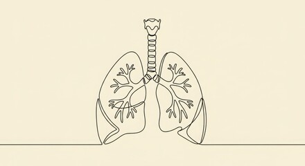 Lungs and trachea in a minimalist line art style