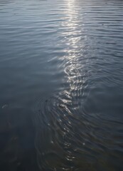 Sunlit water, gentle ripples forming abstract patterns on a calm lake surface , element, texture, still