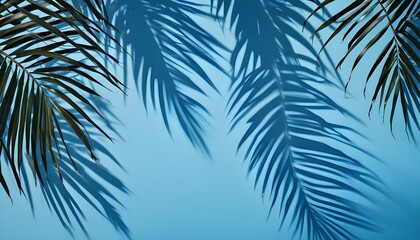 Palm tree leaves casting shadows on a green wall, creating a tropical and summery vibe, the leaves are dark green and the wall is light blue