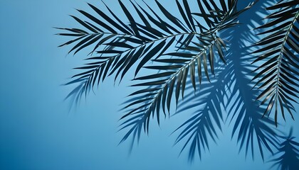 Palm tree leaves casting shadows on a green wall, creating a tropical and summery vibe, the leaves are dark green and the wall is light blue
