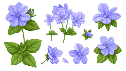 Delicate Blue Flowers Blossom, A Detailed Floral Vector Illustration