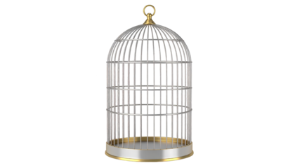 Empty bird cage, a captivating visual against serene white background