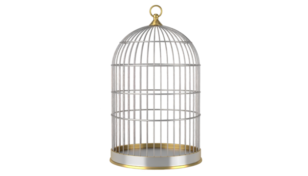 Empty bird cage, a captivating visual against serene white background