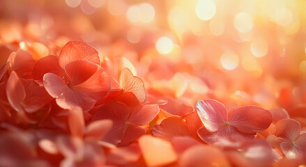 Valentines tender embrace with delicate petal overlays and subtle ombre blend of rose and cream, evoking the warmth of shared closeness beneath a canopy of pastel serenity background jpg