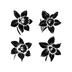 Fototapeta premium set of black and white flowers