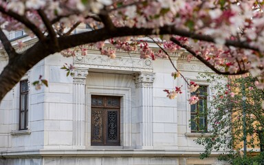 Obraz premium Paris, France ,Romantic Spring, Spring blossoms frame antique building entrance