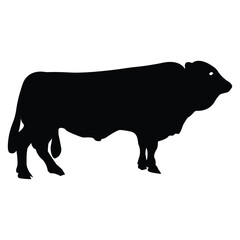 sacrificial cow icon vector line