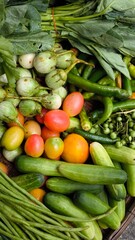 Fresh vegetables for cooking. Vegetables contain dietary fiber that helps cleanse the intestines.