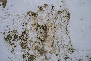 Textura de pared con humedad, moho y pintura descascarada en superficie blanca deteriorada - foto de stock 