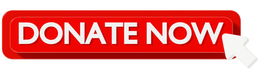 DONATE NOW 3D BUTTON TO ACTION
