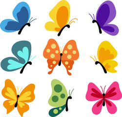 Butterfly set collection fauna cartoon colorful illustration