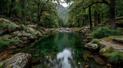 Fototapeta premium Serene mountain stream