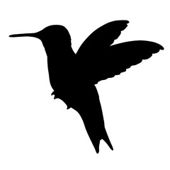Silhouette Bird Illustration Set