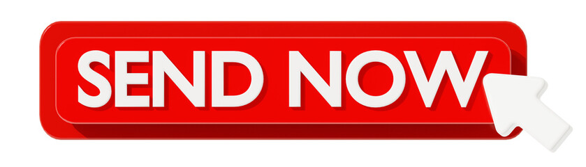 SEND NOW 3D BUTTON TO ACTION