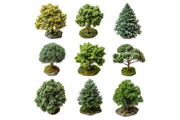 Miniature, diorama-style trees with textured bases, ideal for model scenery or tabletop games and displays, isolated on a transparent background