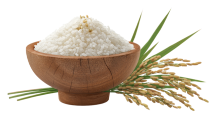 Healthy Grains: Freshly harvested rice is presented in a wooden bowl, a celebration of the harvest with natural elements. Reflecting the importance of agriculture.