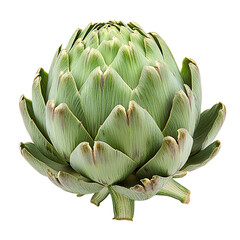 Fototapeta premium artichoke isolated on white background