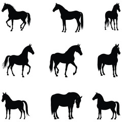 horse silhouettes vector