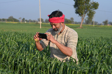 Indian farmer taking selfie pictures to wheat crop field on camera of smartphone while sitting on farmland