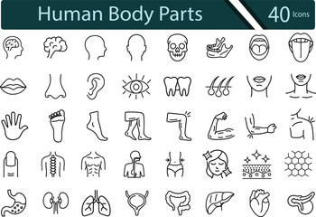 Essential Human Body Part Icons for Medical and Anatomy Designs.