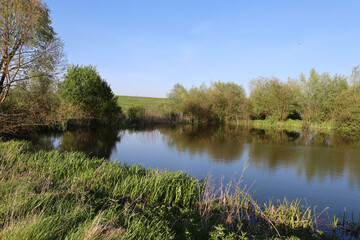 A tranquil landscape with a smooth water surface, a small island with reeds, and a fallen tree on the shore. Reflections in the water emphasize the natural beauty and harmony.