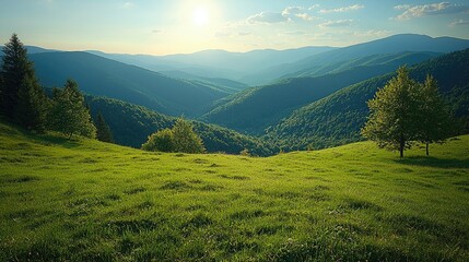 Fototapeta premium Lush green mountain valley scenery featuring grass and trees with the sun