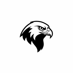 Eagle Head Black and White Graphic Illustration