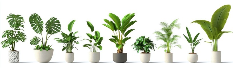 Collection of potted indoor plants