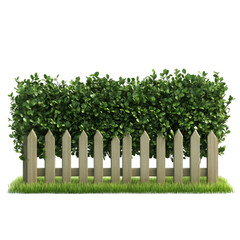 Fototapeta premium Green Bush Behind Wooden Fence in Grass
