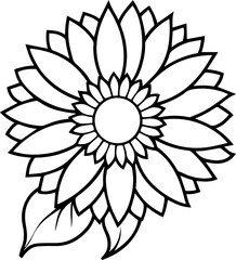 Sunflower outline vector illustration, line art