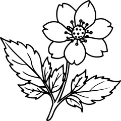 Anemone flower outline vector illustration, line art