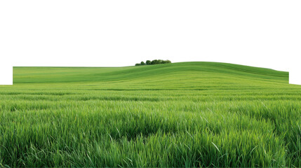 Obraz premium Serene Rolling Hills: A gentle, verdant landscape unfolds before you, rolling hills cloaked in lush, green grass, culminating in a cluster of trees at the horizon.