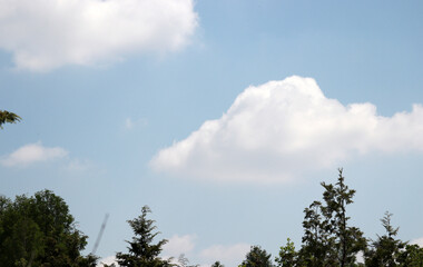 Fototapeta premium The blue sky and clouds with trees. 