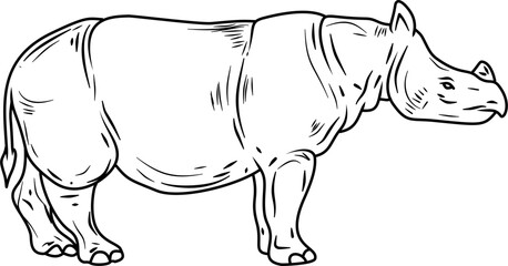 Java rhino hand drawn vector