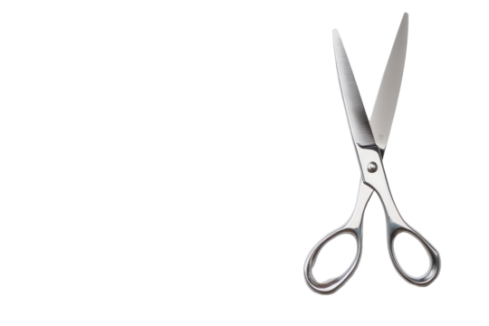 Pair of Stainless Steel Scissors