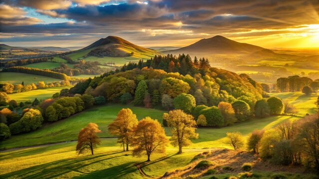 Sunlight filtering through trees on Eildon Hills, casting a warm golden glow over the landscape, landscape, sunlight
