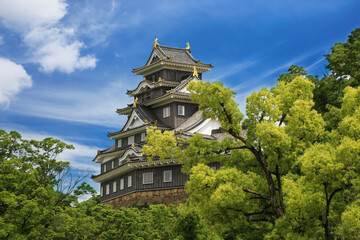 Okayama Castle (Crow Castle), Japan