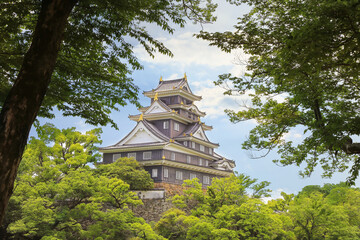 Okayama Castle (Crow Castle), Japan