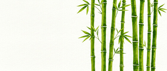 Hand-painted watercolor illustration of green bamboo stalks and leaves on a white textured background.