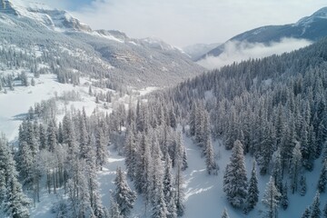 Drone captures stunning winter landscape of Colorado Rocky Mountains with snow-covered trees, 4k aerial drone footage Colorado Rocky Mountains in snow after Winter blizzard