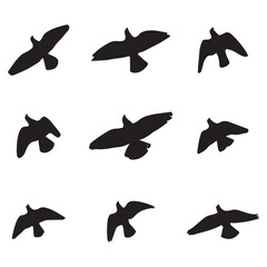 Nature-Inspired Bird Vector Design – Ideal for Wildlife and Nature-Themed Concepts .