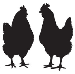 High-Quality and Realistic Chicken Vector Illustration  Perfect for Farm, Food Branding, and Agricultural Projects . 