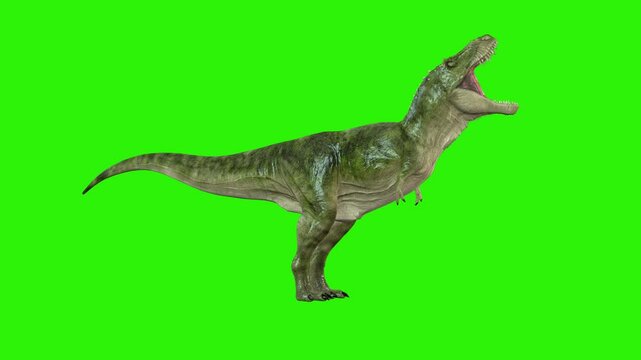 Tyrannosaurus Dinosaur Roar 