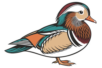 1 Mandarin duck, colorful plumage, detailed feathers, vibrant colors, orange beak, teal crest, white accent, brown body, intricate patterns, side view, realistic rendering, nature illustration, white 