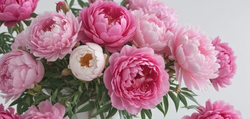 Vibrant pink peonies & roses bouquet, white backdrop  ,  floral arrangement,  white background