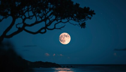 Full moon over ocean, tree silhouette