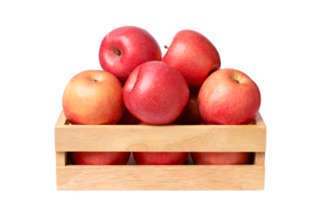 red apples in a basket