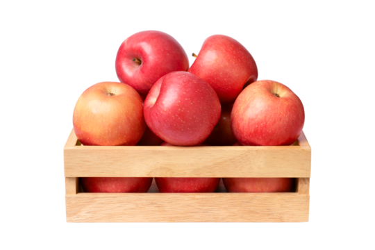 red apples in a basket