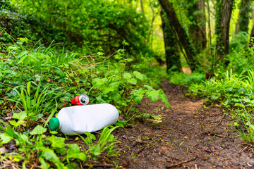 Trash and plastic on a forest trail, pollution in nature.