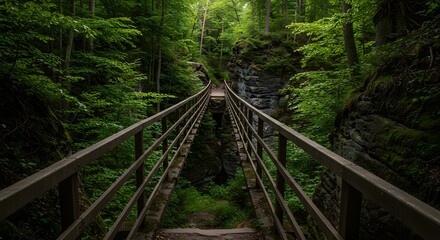 Fototapeta premium Bridge Through Forest